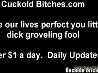 I will launch You for a Cruel Cuckolding Session: porn fe