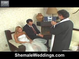 Awesome Shemale Weddings show With Amazing xxx video Stars Suzuki, Calena, Duda